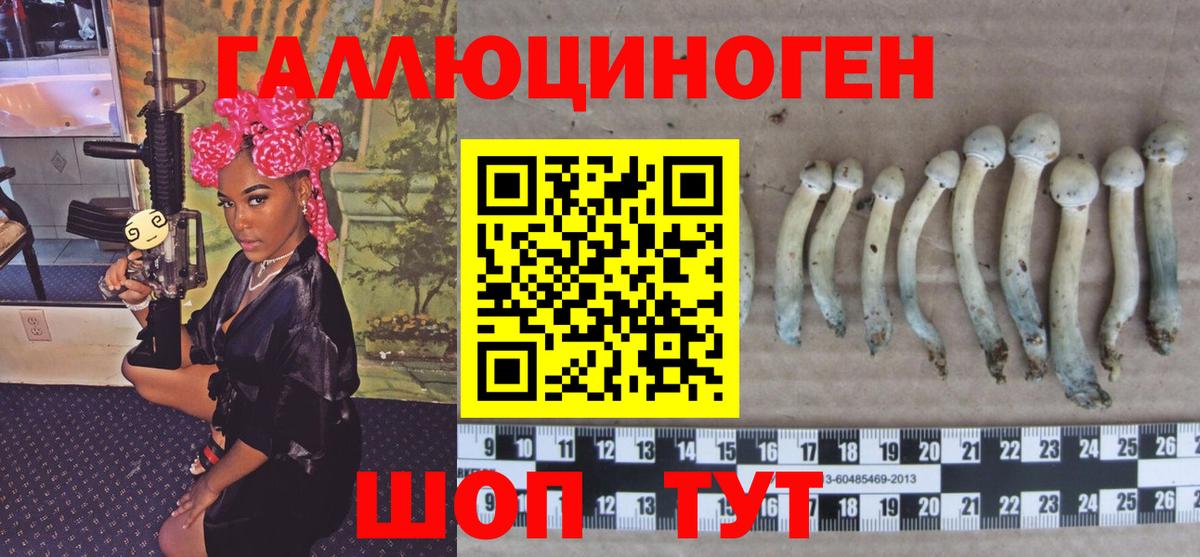 Псилоцибиновые грибы Psilocybe Урюпинск
