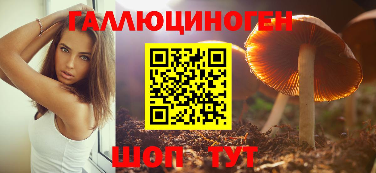 Галлюциногенные грибы Magic Shrooms  наркошоп  Урюпинск  Вход с VPN 